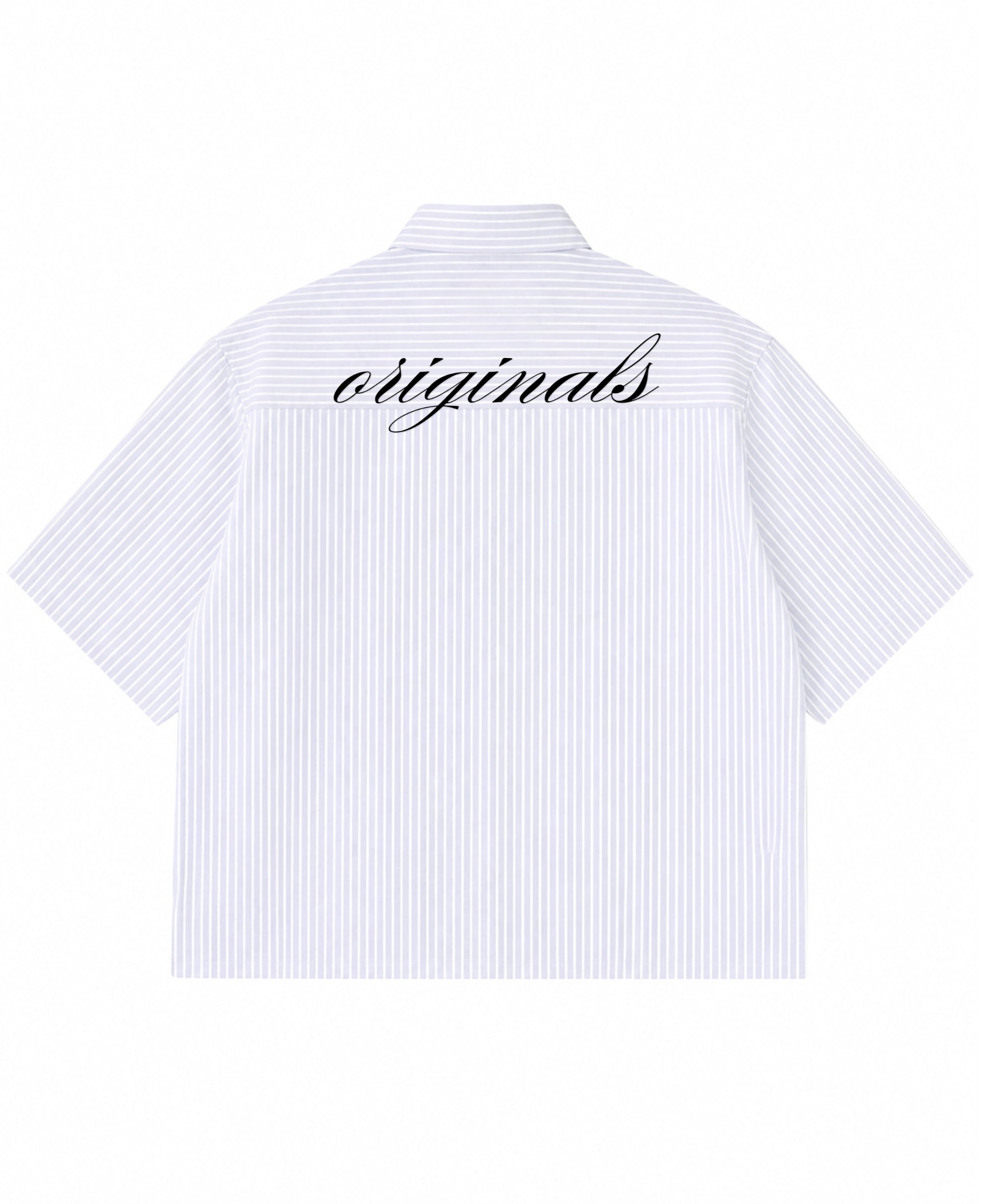 Blue Striped Oxford Boxy Shirt Back Design