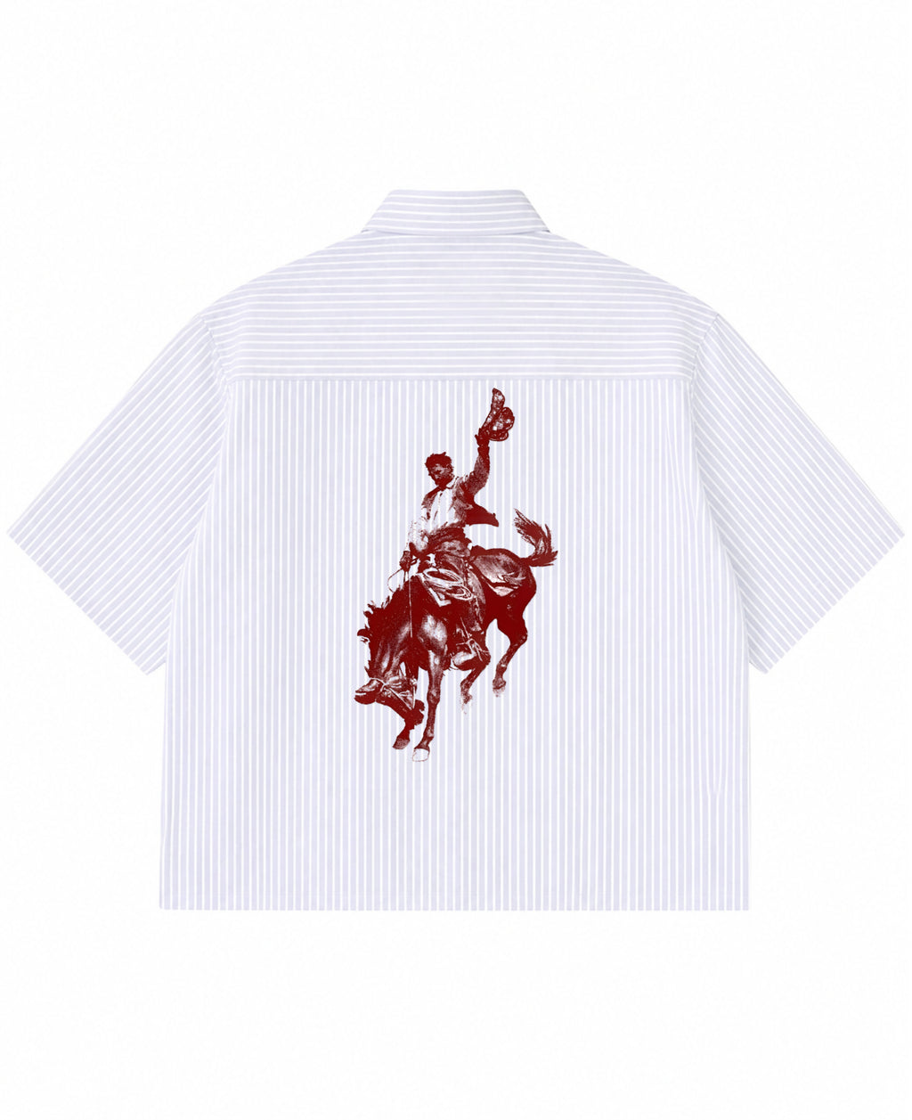 Blue Striped Oxford Boxy Shirt Back Design