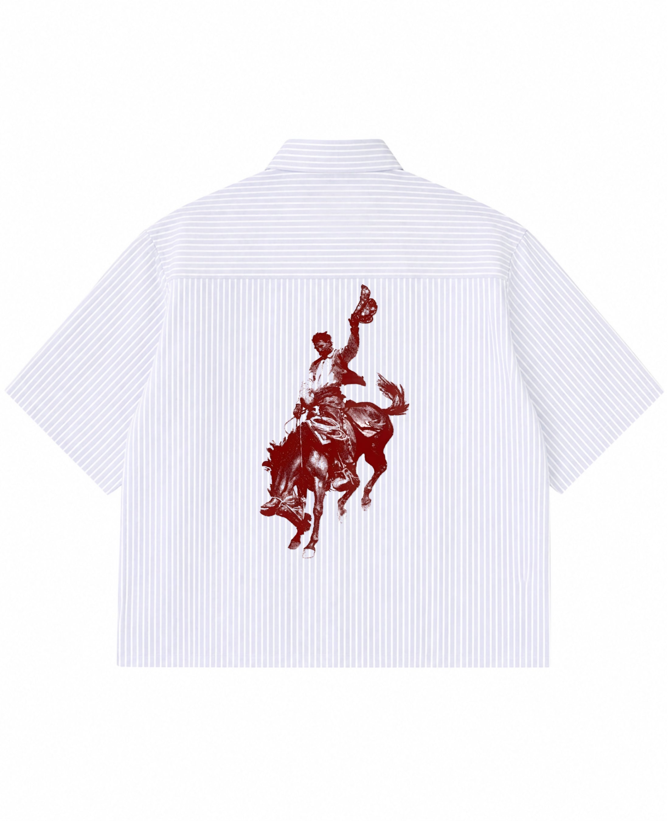 Blue Striped Oxford Boxy Shirt Back Design